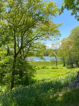 A view of the river.