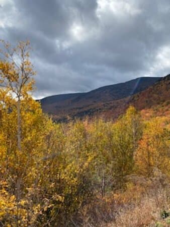 Black Mountain.