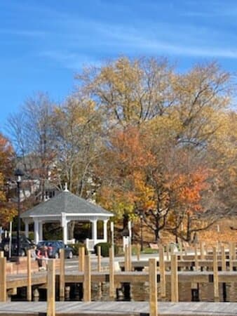 Another view in late autumn.