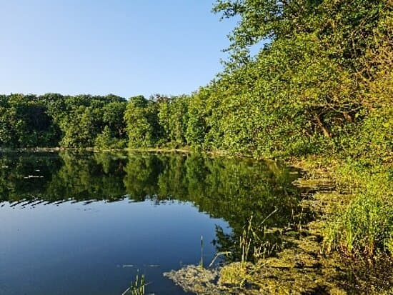 Wielkopolski National Park Poland