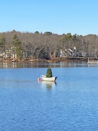 A rowboat with a small tree in it, as seen from the bridge.