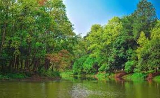 🌳 Doğaya huzurlu bir kaçış olan nefes kesici Bhawal Milli Parkı'nı keşfedin! 🌿 Yemyeşil bitki örtüsünün, çeşitli yaban hayatının ve sakin göllerin tadını çıkarın. Yürüyüş, piknik ve doğayla yeniden bağlantı kurmak için mükemmel. 🦜✨ #BhawalMilliParkı #DoğaSevenler #YabanHayatı #Bangladeş'iKeşfedin 