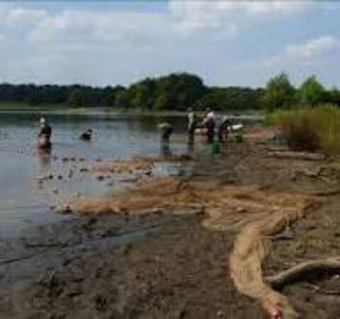 Pen Ponds