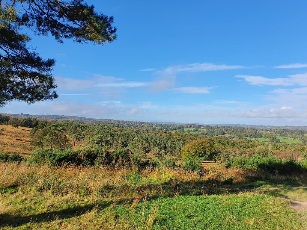 Ashdown Forest