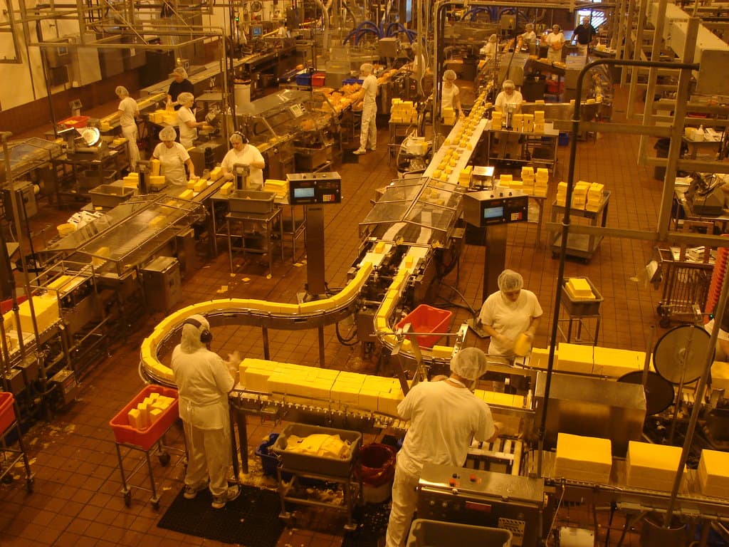 Cheese factory floor
