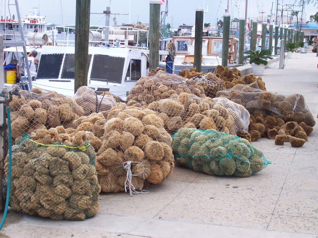 wool and yellow sponges