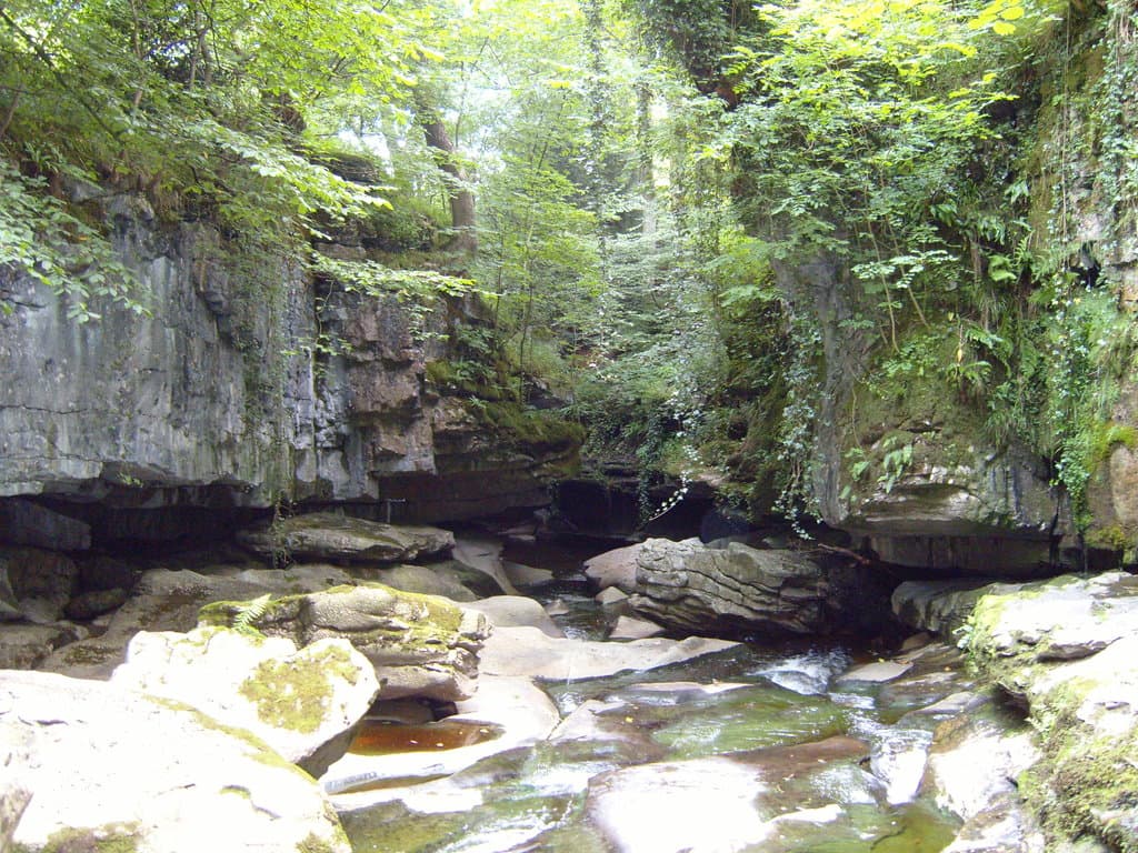 The Gorge