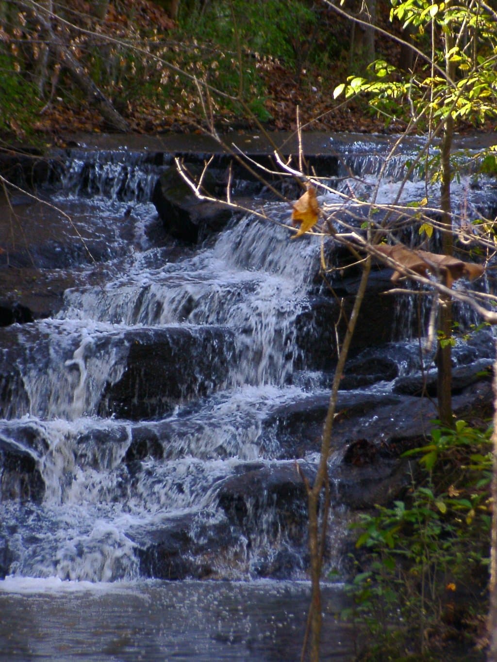 Lake Haigler 2