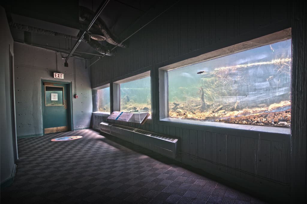 Fluvarium St. John's