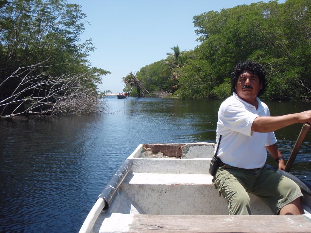 La Ventanilla Mangroves Oaxaca