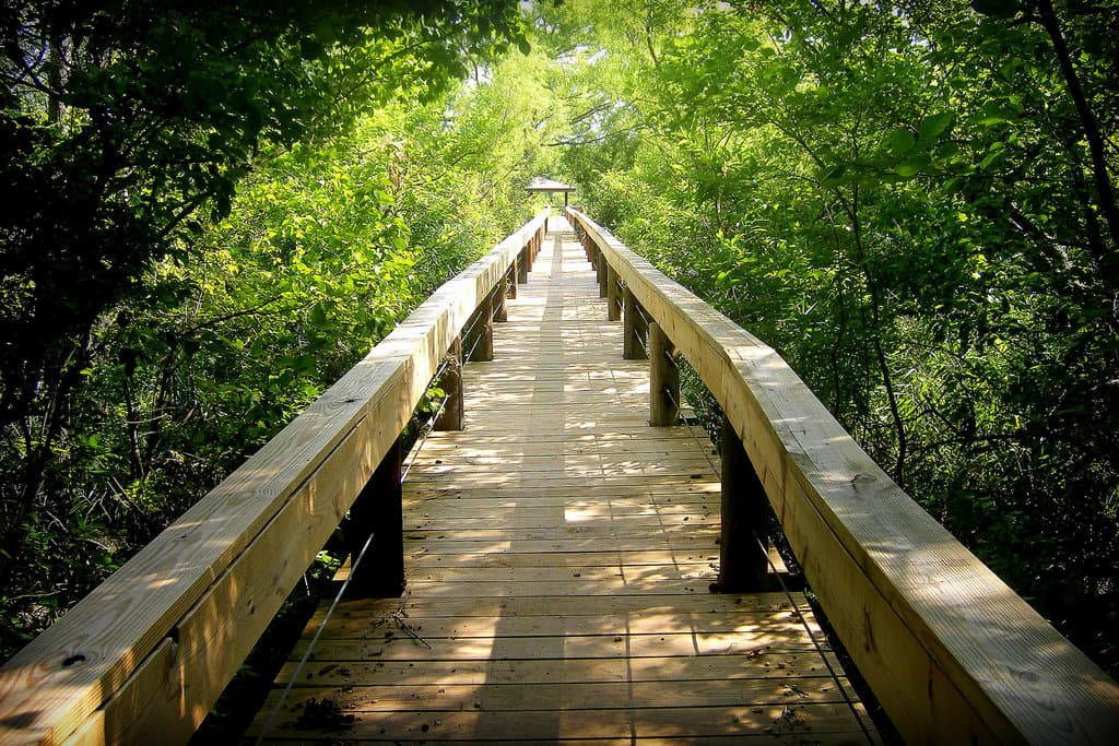 Fort Worth Nature Center and Refuge