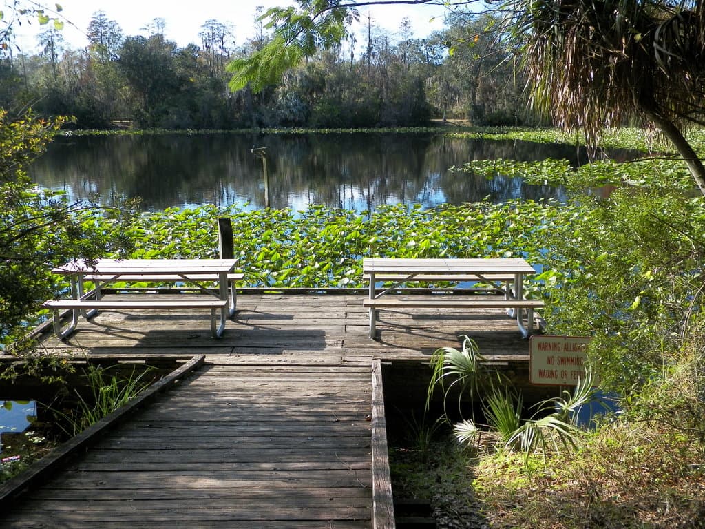 Al Lopez Park Tampa