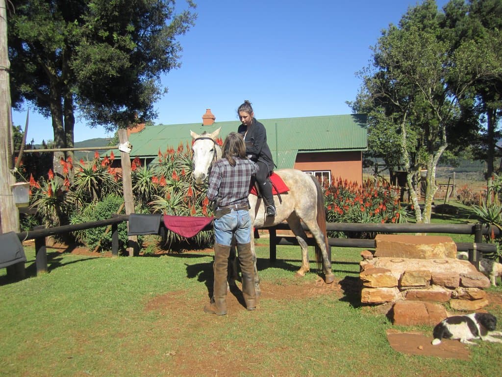 Kaapsehoop Wild Horses