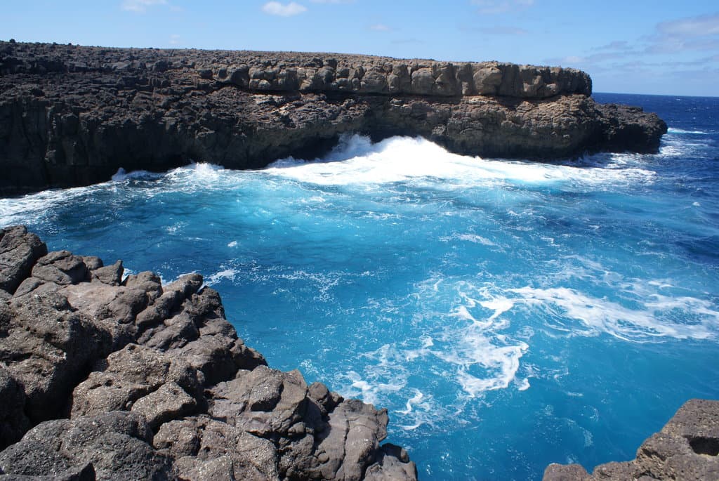 Piscine naturelle