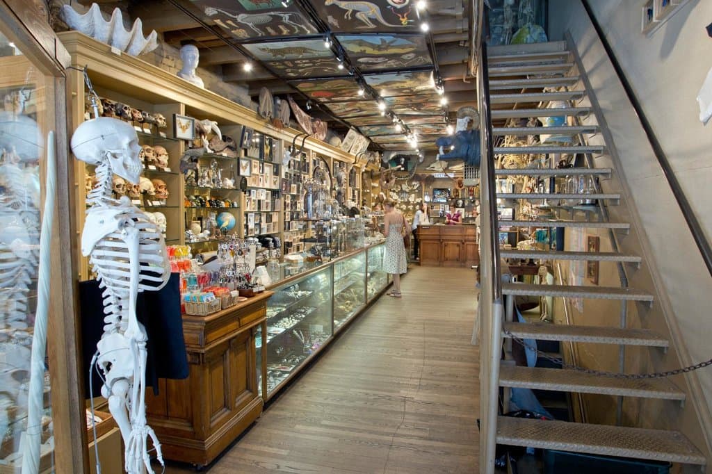 Store's Ground Floor