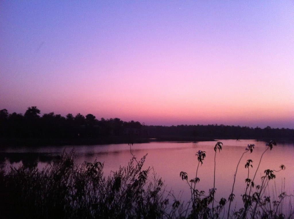 MOHDA ECO RESORT AT BARNAWAPARA WILDLIFE SANCTUARY
