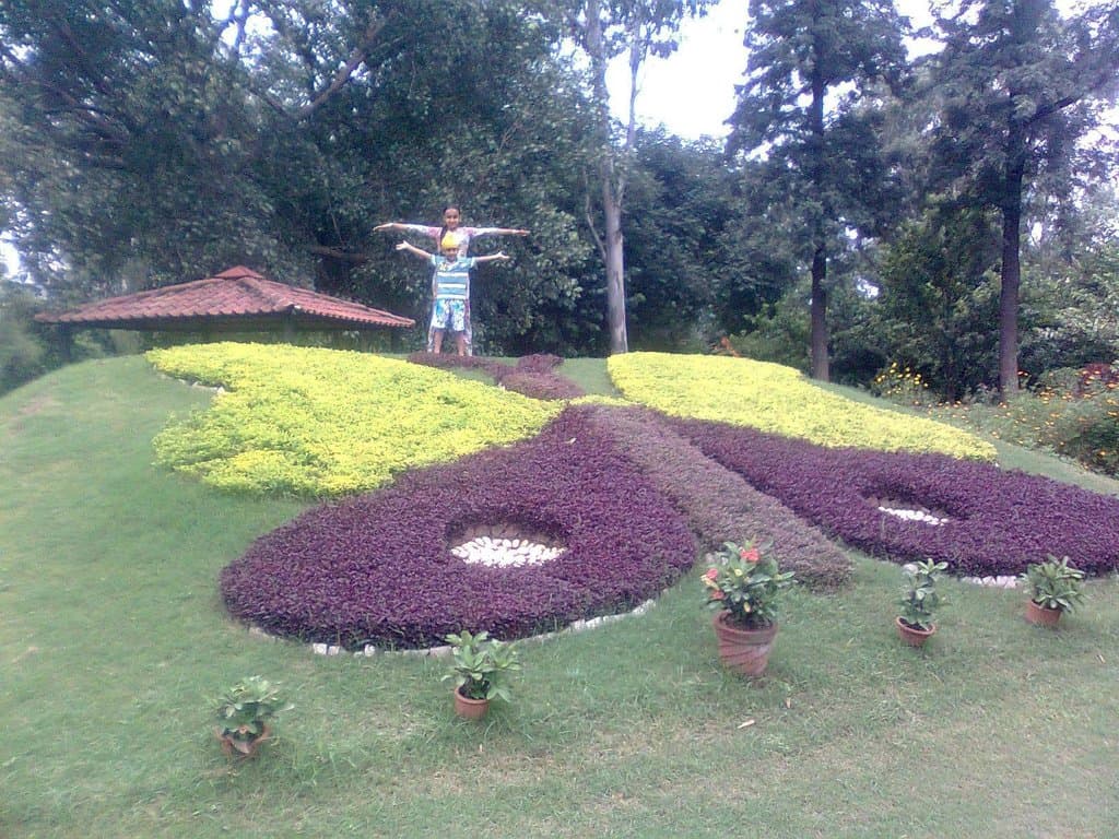                  Butterfly park Sector-26 Chandigarh
                