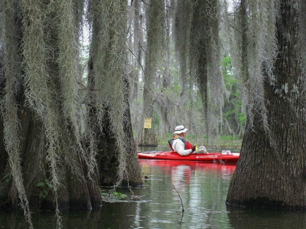 Exploring mystical Lake Martin
