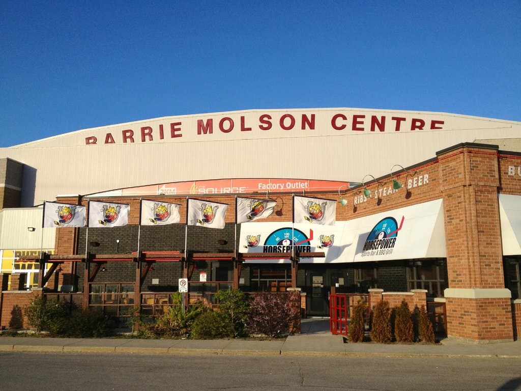 Entrance & Barrie Colts flags