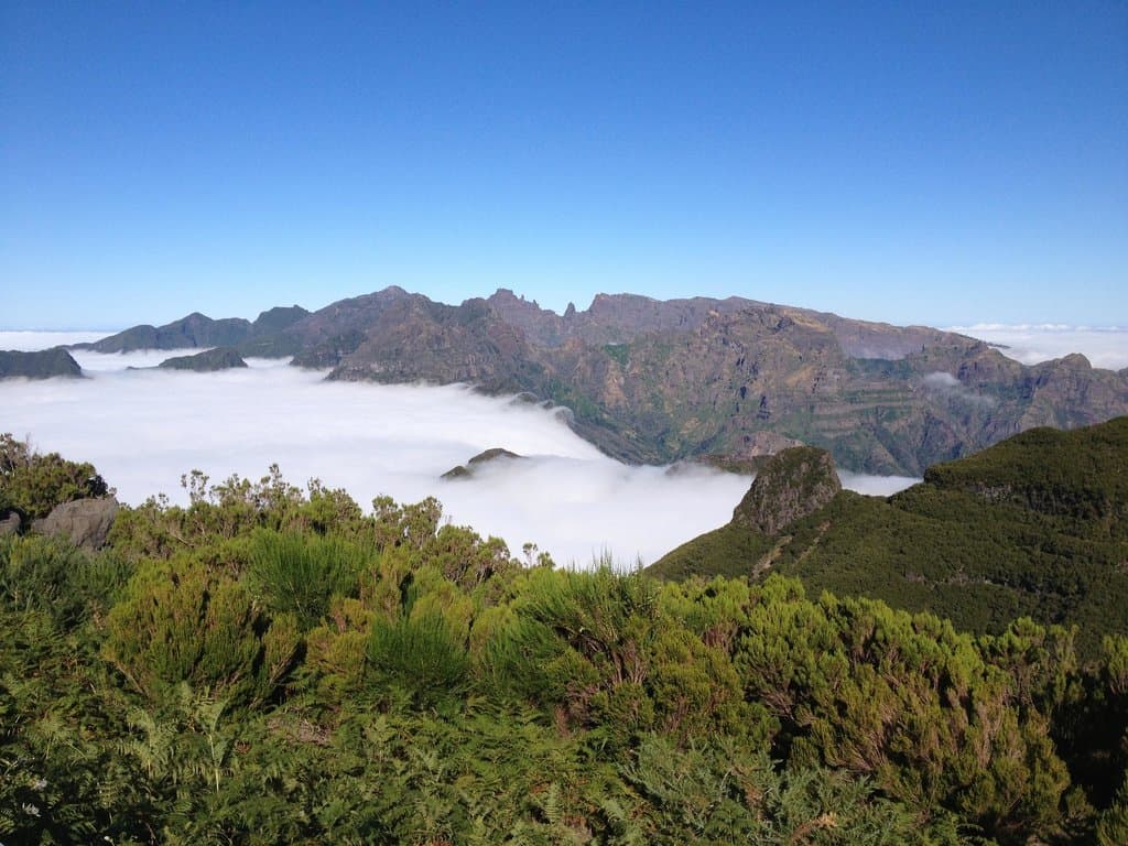 getlstd_property_photo