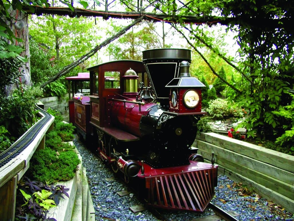 Ride the Arrow River Train!
