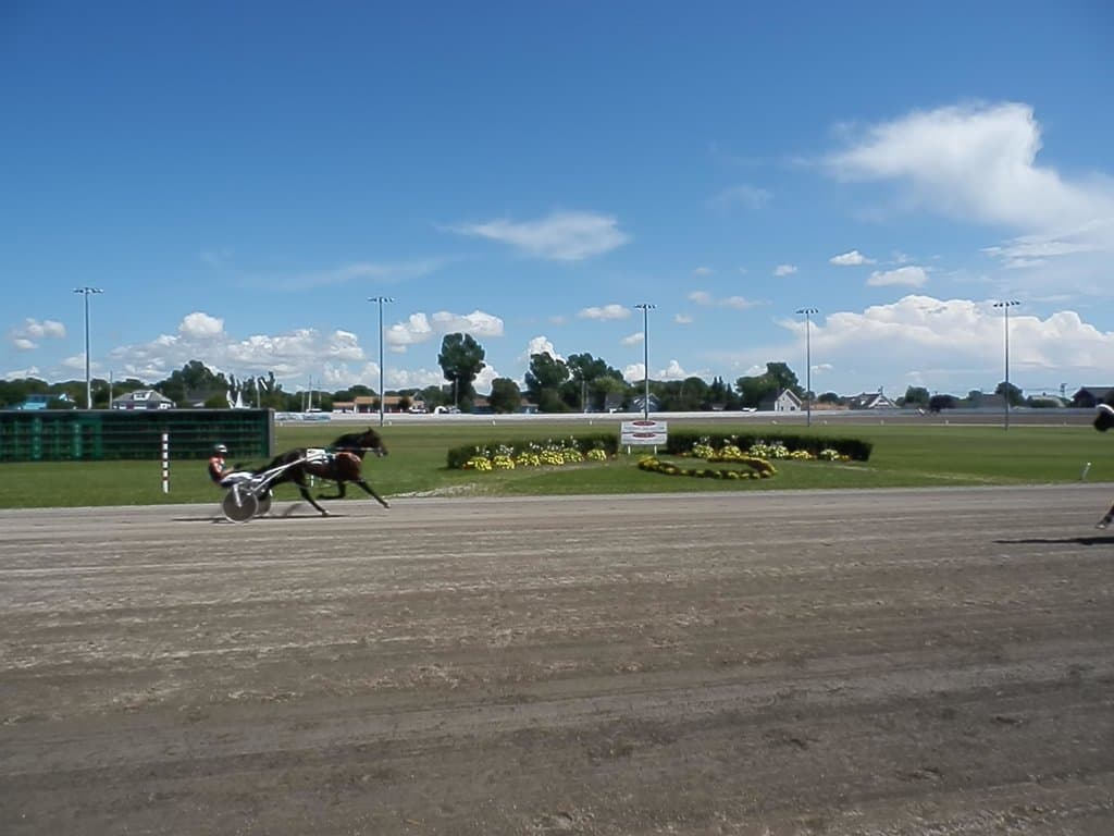 The track at Red Shores