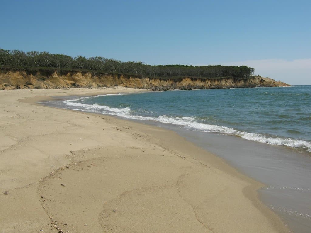 Wasque Point