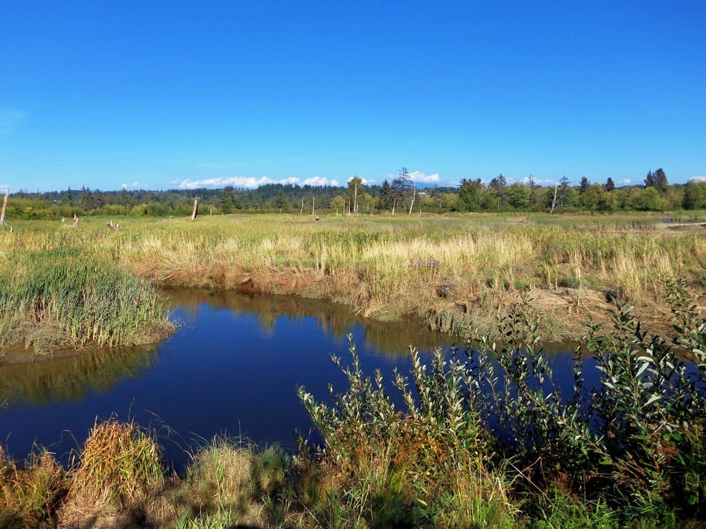 Spencer Island