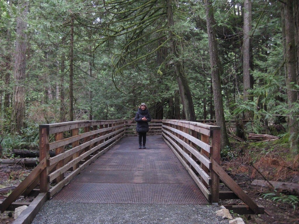 Another bridge shot.