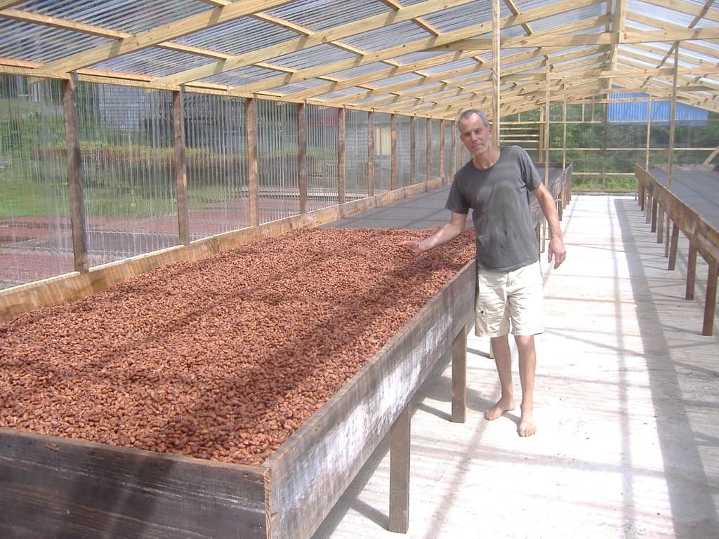 Cocoa solar power drying system