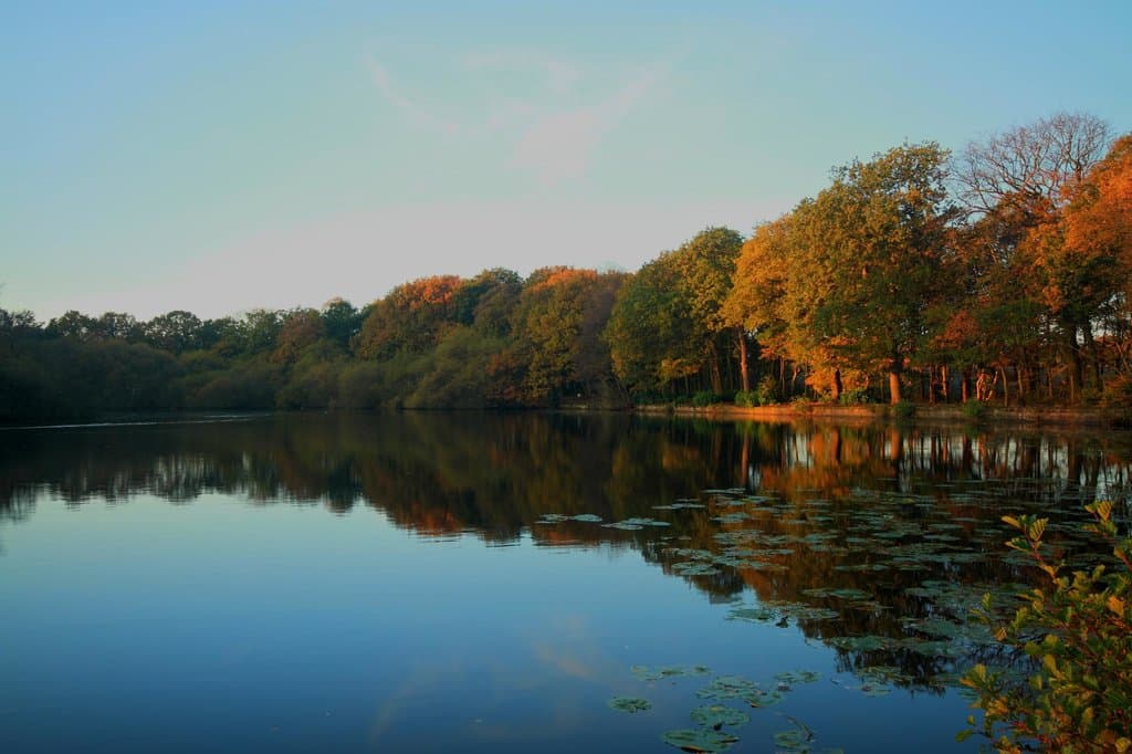 Golden Acre Park Leeds