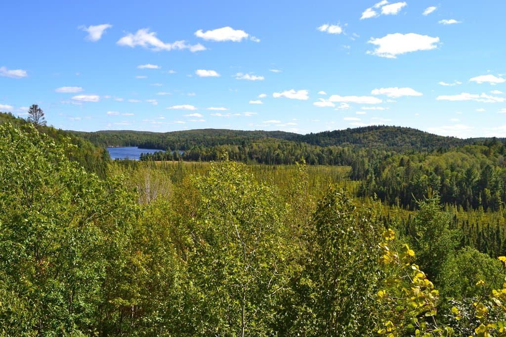 Fantastic views from the lookout deck