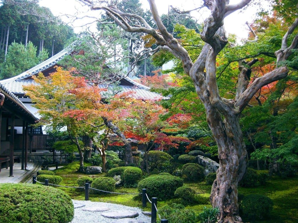 圓光寺の庭