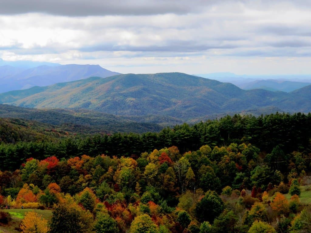 View with early autumn foliage