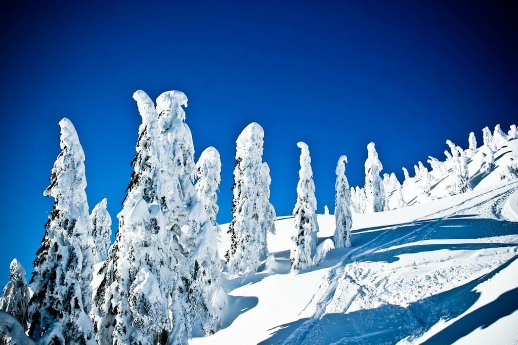 Mount Seymour Ski Area