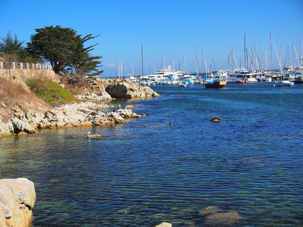 Between Monterey wharf & Cannery Row