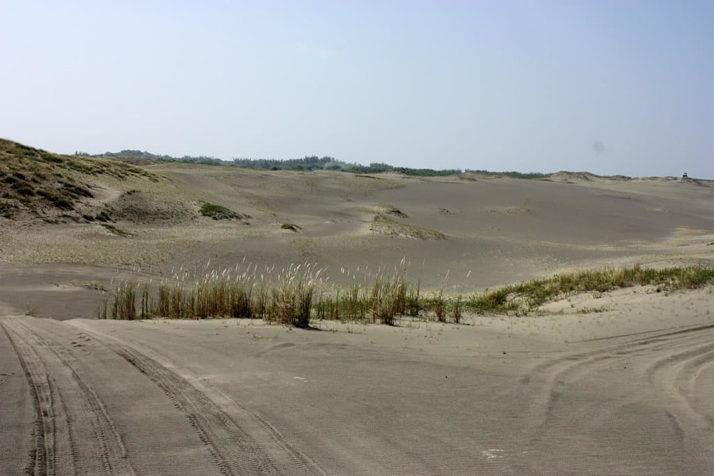 Paoay Sand Dunes
