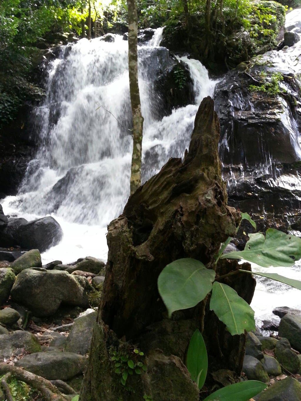 Tong nga chang waterfall