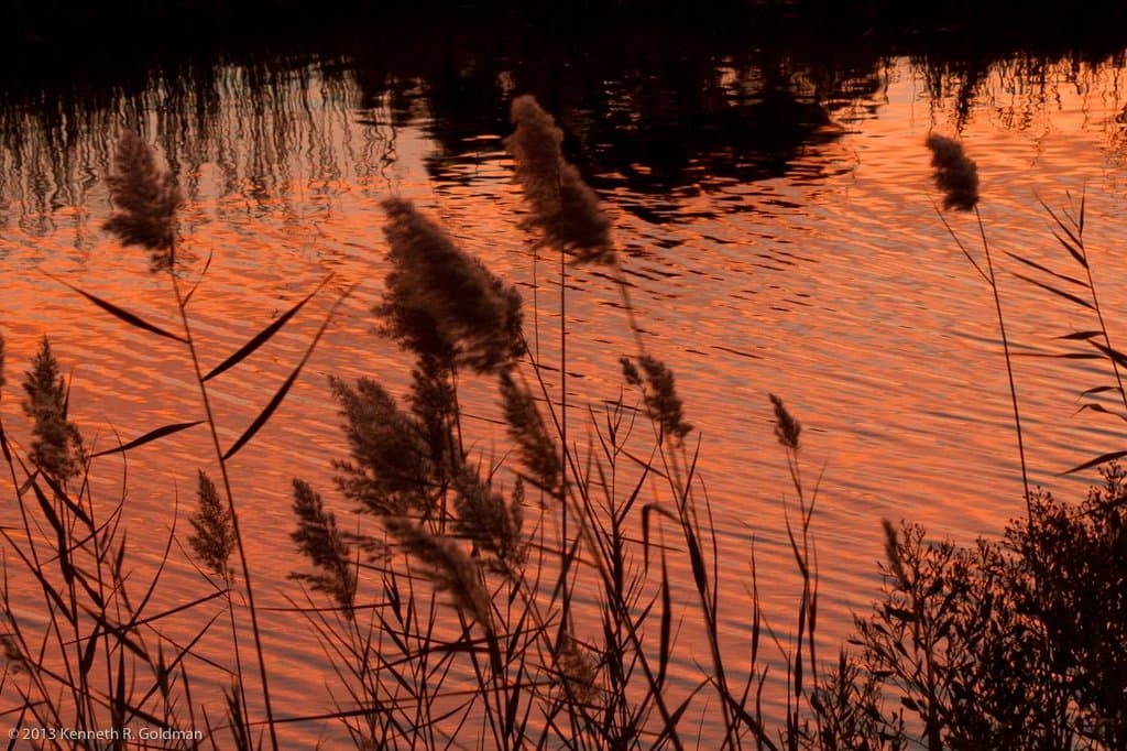 Sunrise at Chincoteague