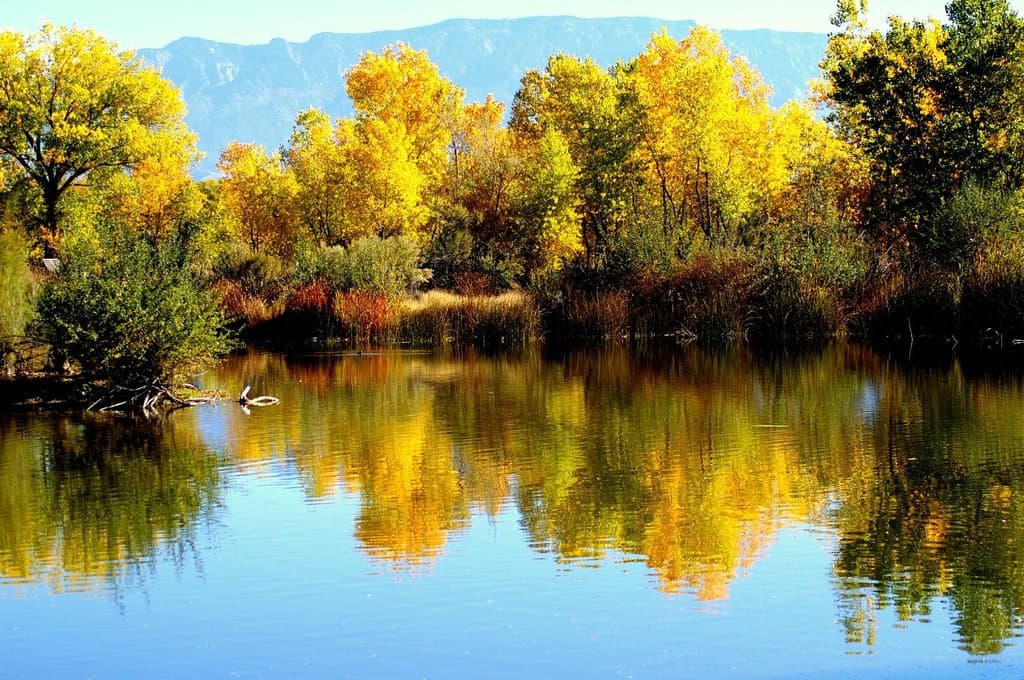 Fall in NM