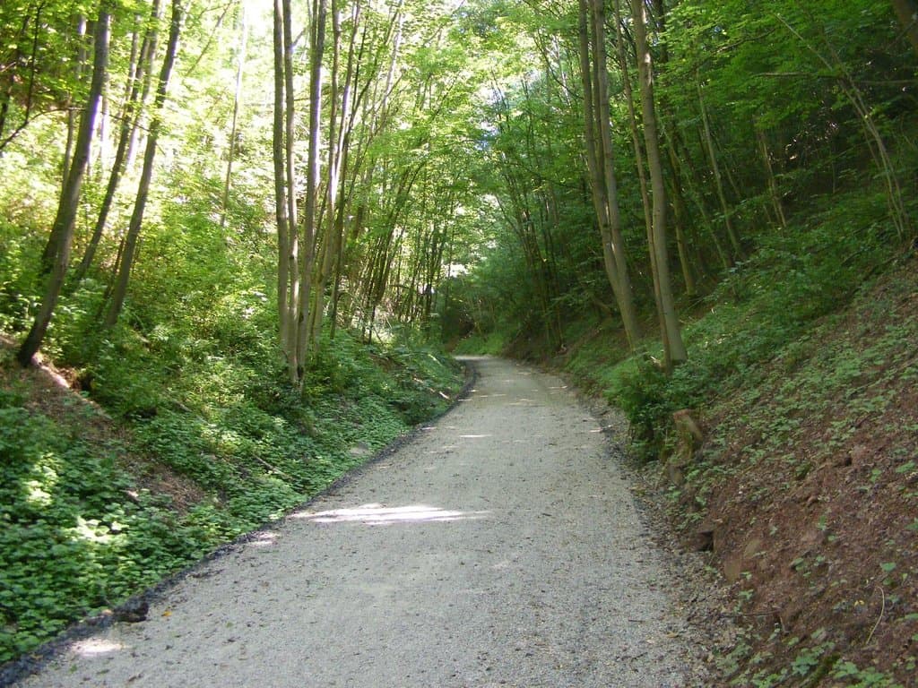 Between Stavelot and Francorchamps