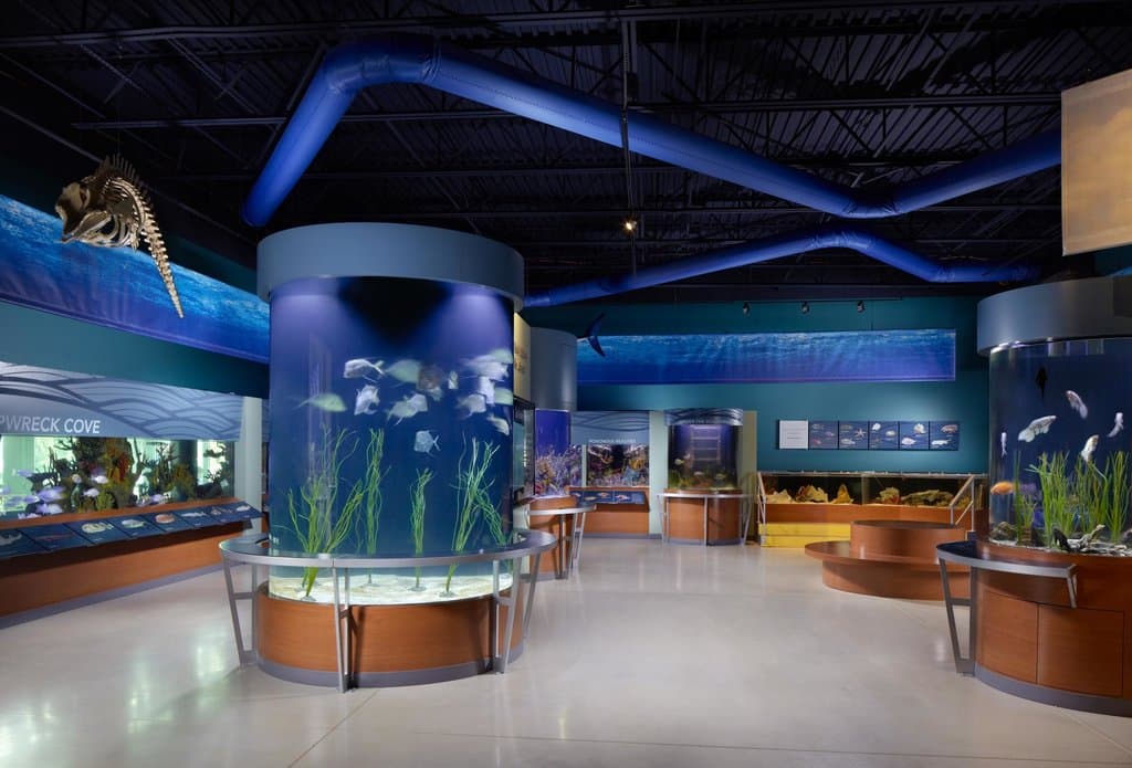 Our newly expanded 8,000 gallon aquarium