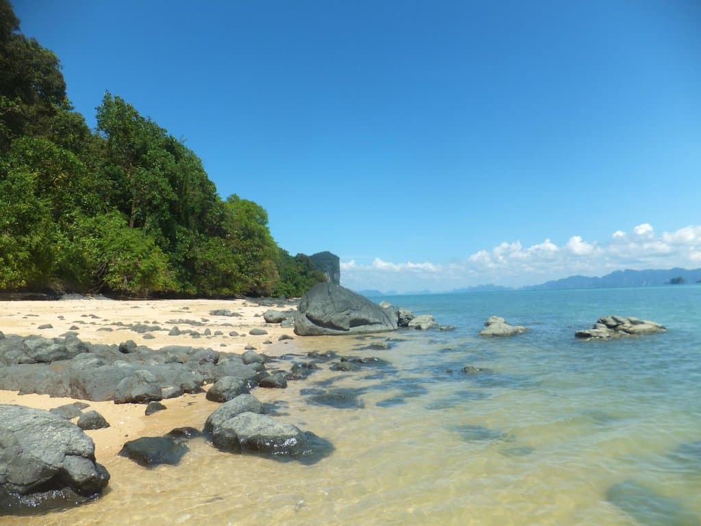 coral nature beach