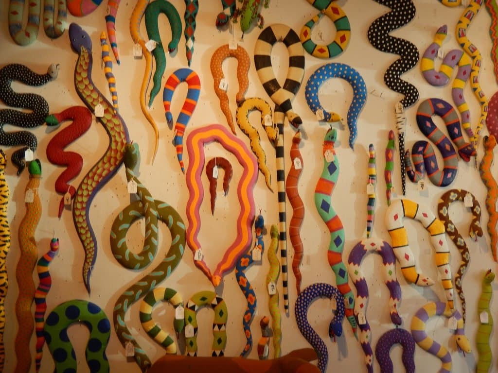 Oaxan snakes