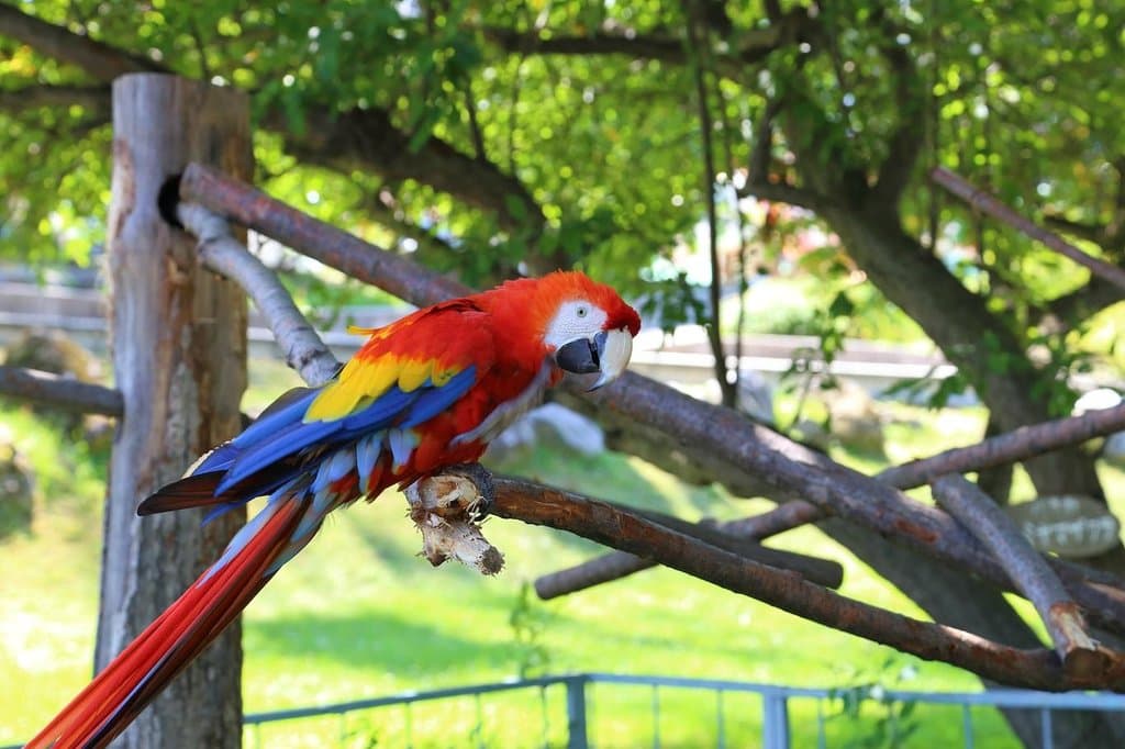 Obihiro Zoo