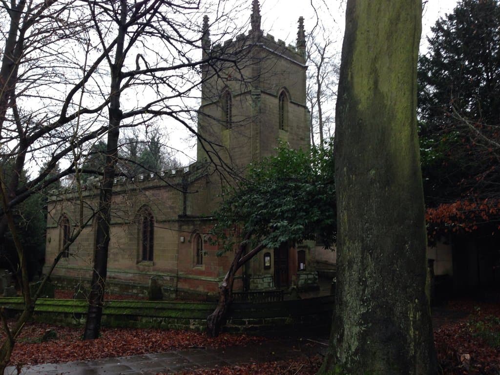 Hidden gem through the trees