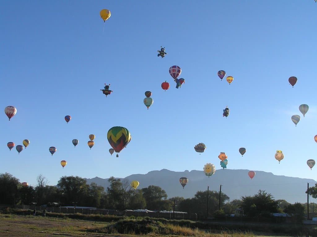 Balloons for all ages and in all styles!