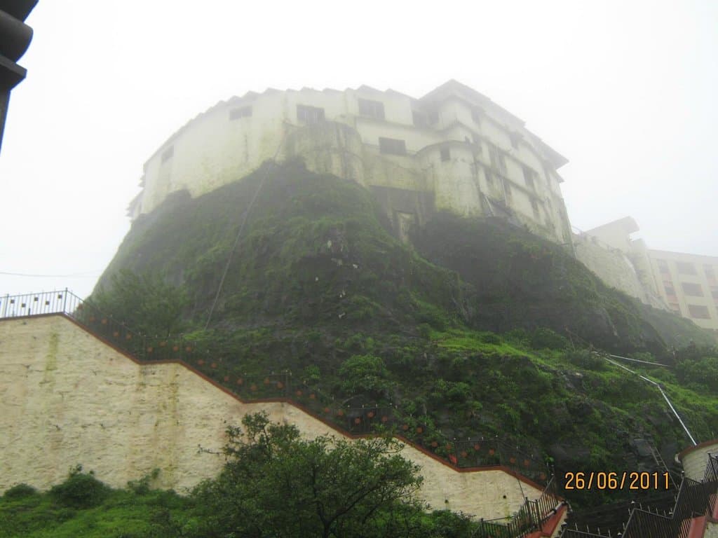 fortified gad