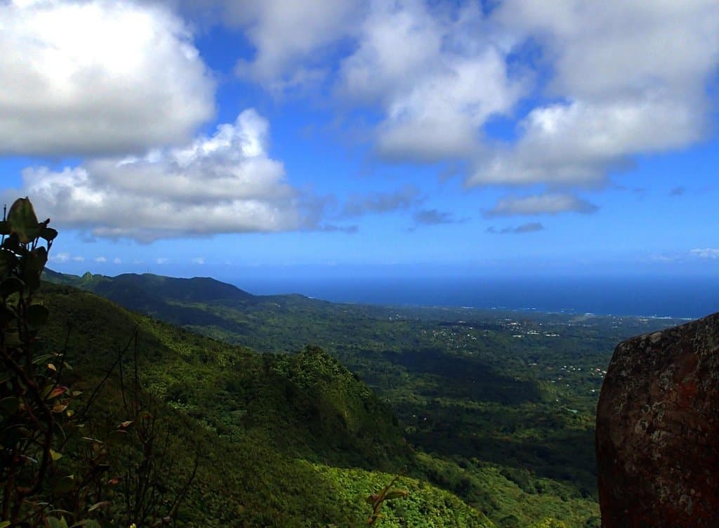 View of the East Coast