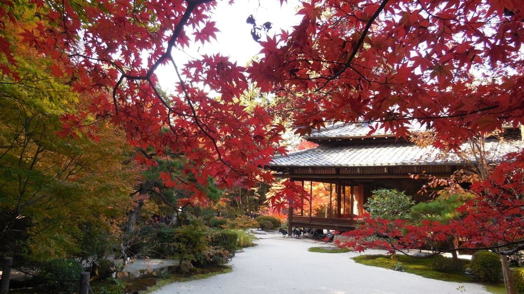 裏側庭園